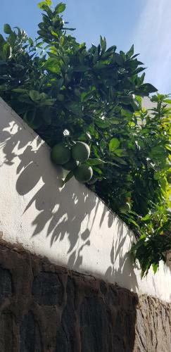Villa Lovely 2 Bedroom House With Private Garden