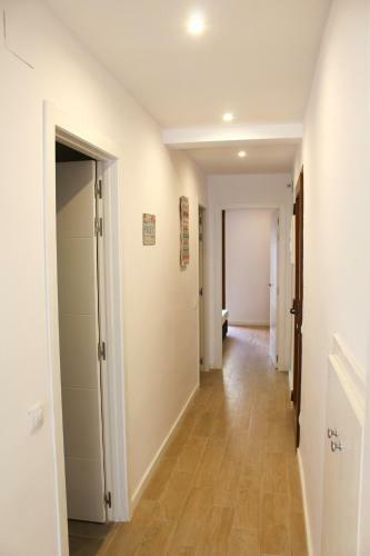 Barcel� Esteve Apartaments