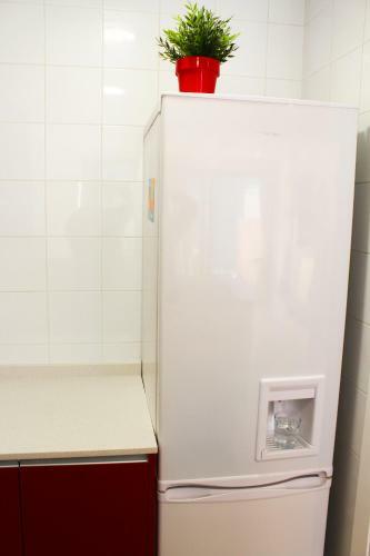 Barcel� Esteve Apartaments