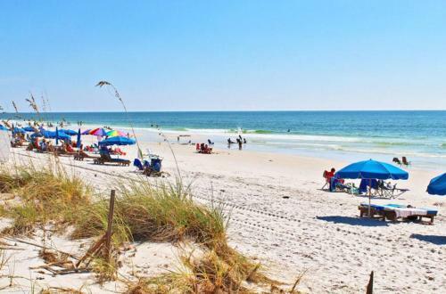 Edgewater By Youngs Suncoast