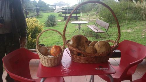 Agroturismo El Majano
