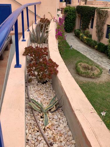 Apartamento Atalaya De Mojacar