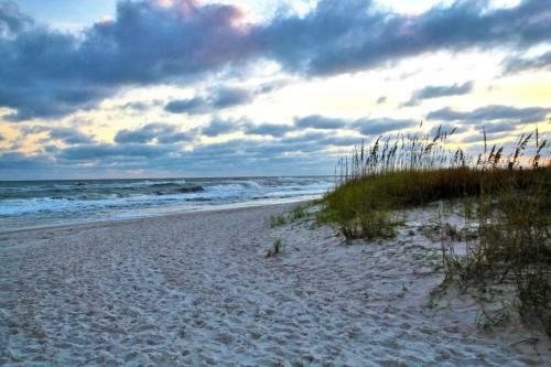 Ocean Reef 304 By Youngs Suncoast