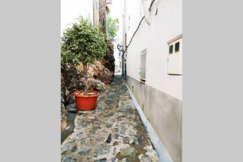 Apartamento Con Vistas En El Centro De Moj�car