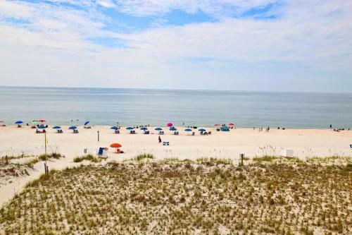 Seacrest By Youngs Suncoast