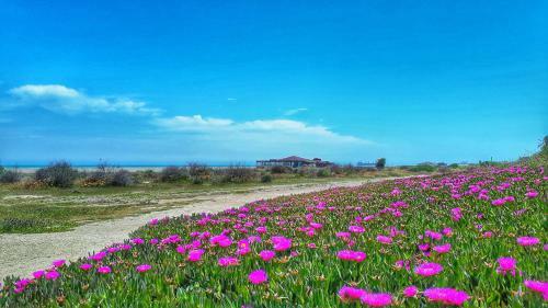 Apartamento Atalaya Azul Mojacar Playa