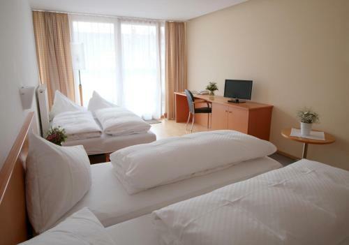 Hotel Gasthof L�wen
