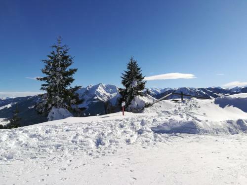 Hostal G�stehaus Hain