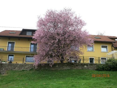Apartamento Ferienwohnungen Kremsbrucker