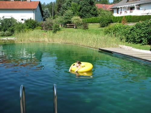 Apartamento Ferienwohnungen Kremsbrucker