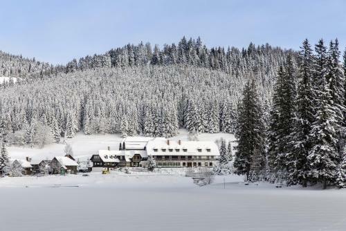 Hotel Teichwirt