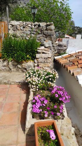 Casa Cabra
