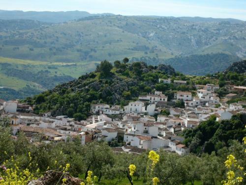 Puerta Verde