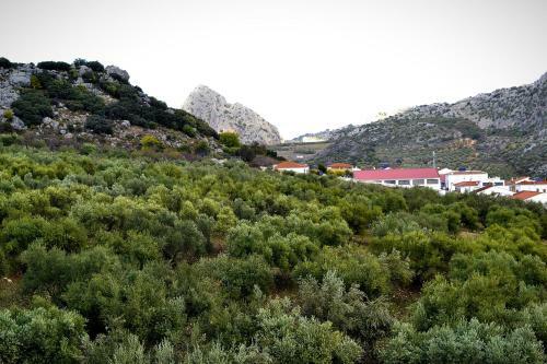 Remarkable 2-bed House In Montejaque With Jacuzzi