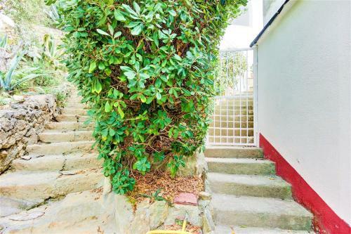 Apartamento Canyelles Sorolla 17 - Barneda Premium