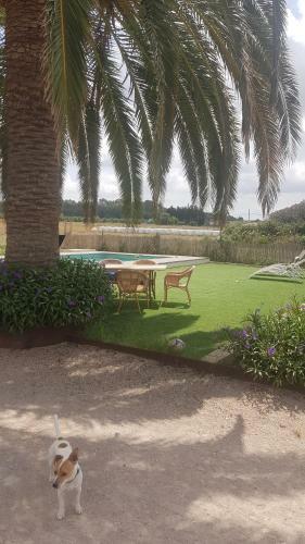 Bed & Breakfast Finca Lavanda Hosted By Nicholas