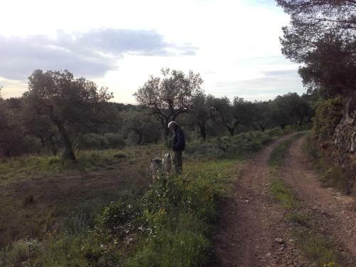 Agroturismo Ca L'eli Different Experience