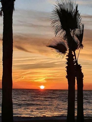 Apartamento Vistas Al Mar A 40 Metros Playa