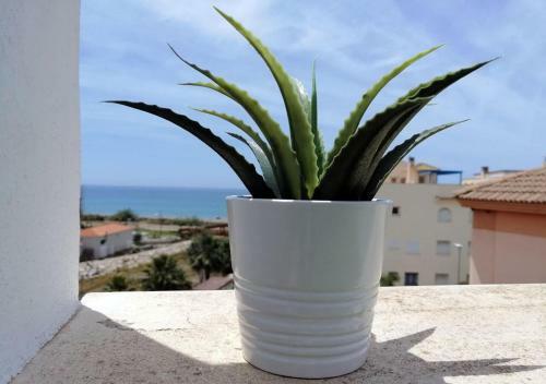 Dunas Jewel Apartment