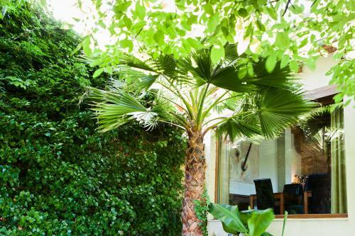 Hotel Sotobosque