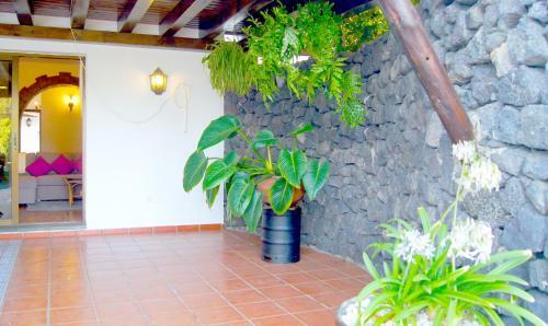 Agroturismo Finca La Rubina