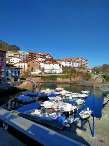 Apartamento Piso Tur�stico Erreka Beach