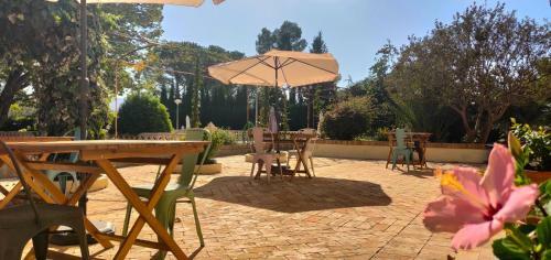 Bed & Breakfast Casa De Los Lirios