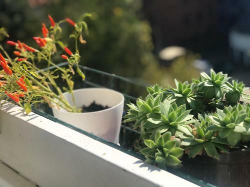 Apartamento Dan I Noc
