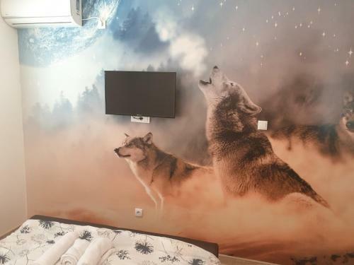 Albergue Sobe Rooms Gavrilo