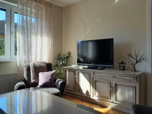 Apartamentos Magnolija