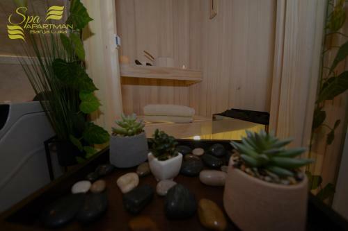 Spa Apartman Banja Luka