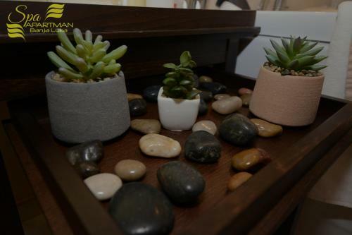 Spa Apartman Banja Luka