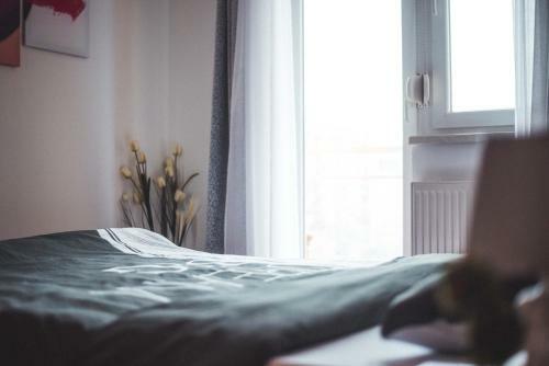 Apartamento Voyager - Le Coq