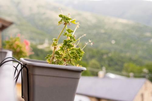 Bed & Breakfast Casa Rural El Tir� De Nev�