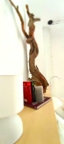Apartamento Casa Carey