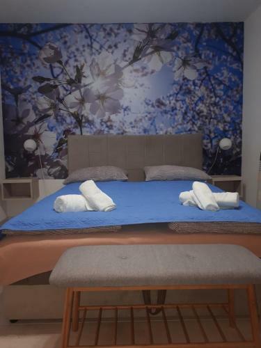 Apartman Kiwi In A Quite Central Area