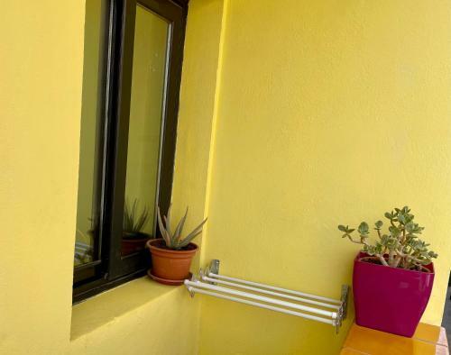 Apartamento Nivaria
