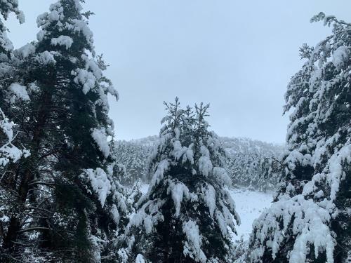 Casa Rural Pirineu Nev�