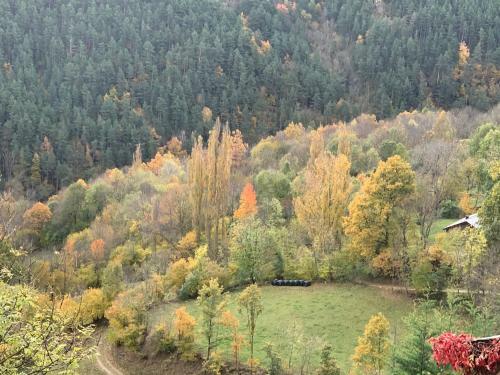 Casa Rural Pirineu Nev�