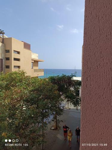 Apartamentos El Carmen