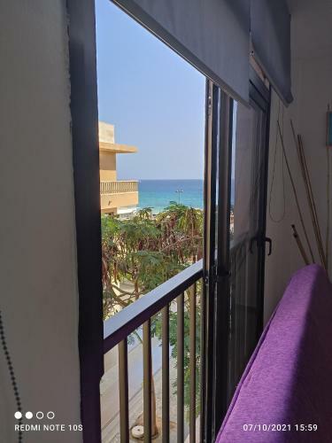 Apartamentos El Carmen
