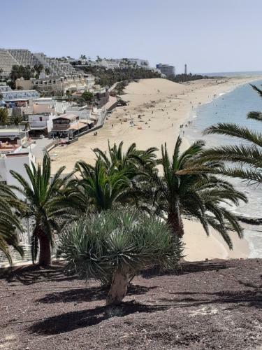 Apartamento Playa Mirar In Palm Garden