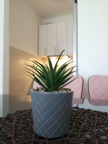 Apartman Alina Confort