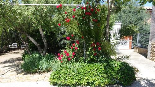 Villa Flores