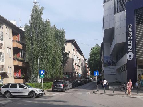 Apartman Centar Park
