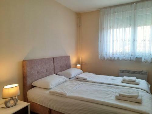Apartman Centar Park