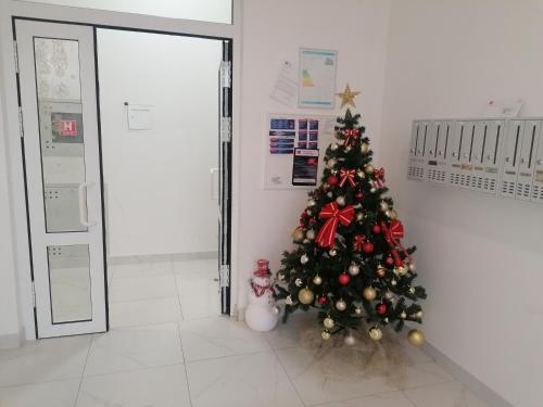 Apartman Merkator