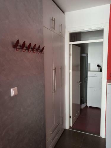 Silver Center Apartment