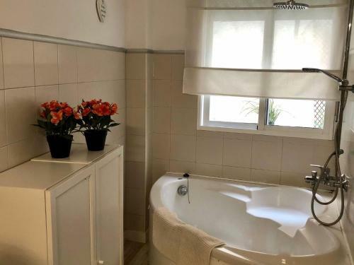 Precioso Apartamento En Pleno Coraz�n de Murcia.