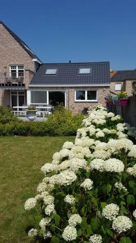 Luppolo Vakantiehuis Westhoek